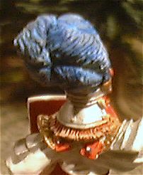 Foto: Seegardist Hinterkopf